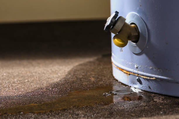 Water damage restoration mold remediation in Delisle, MS