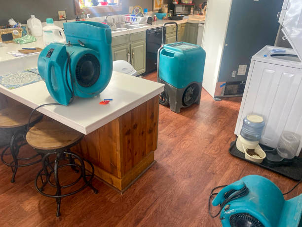 Best Flooded house restoration  in Delisle, MS