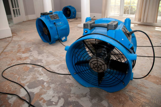 Best Carpet water damage restoration  in Delisle, MS