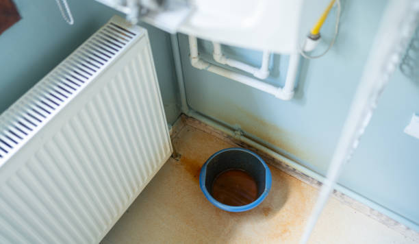 Best Water damage restoration specialists  in Delisle, MS