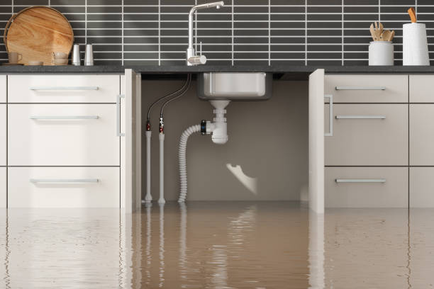 Best Mold removal after water damage  in Delisle, MS