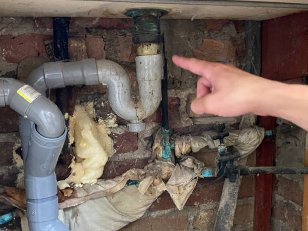Best Water damage contractors near me  in Delisle, MS