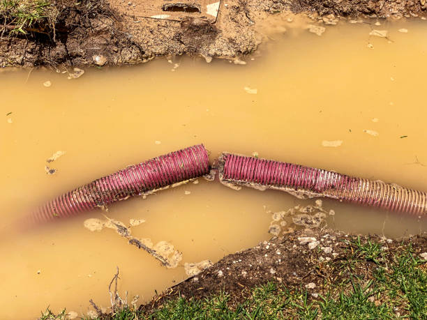 Best 24/7 water damage repair  in Delisle, MS